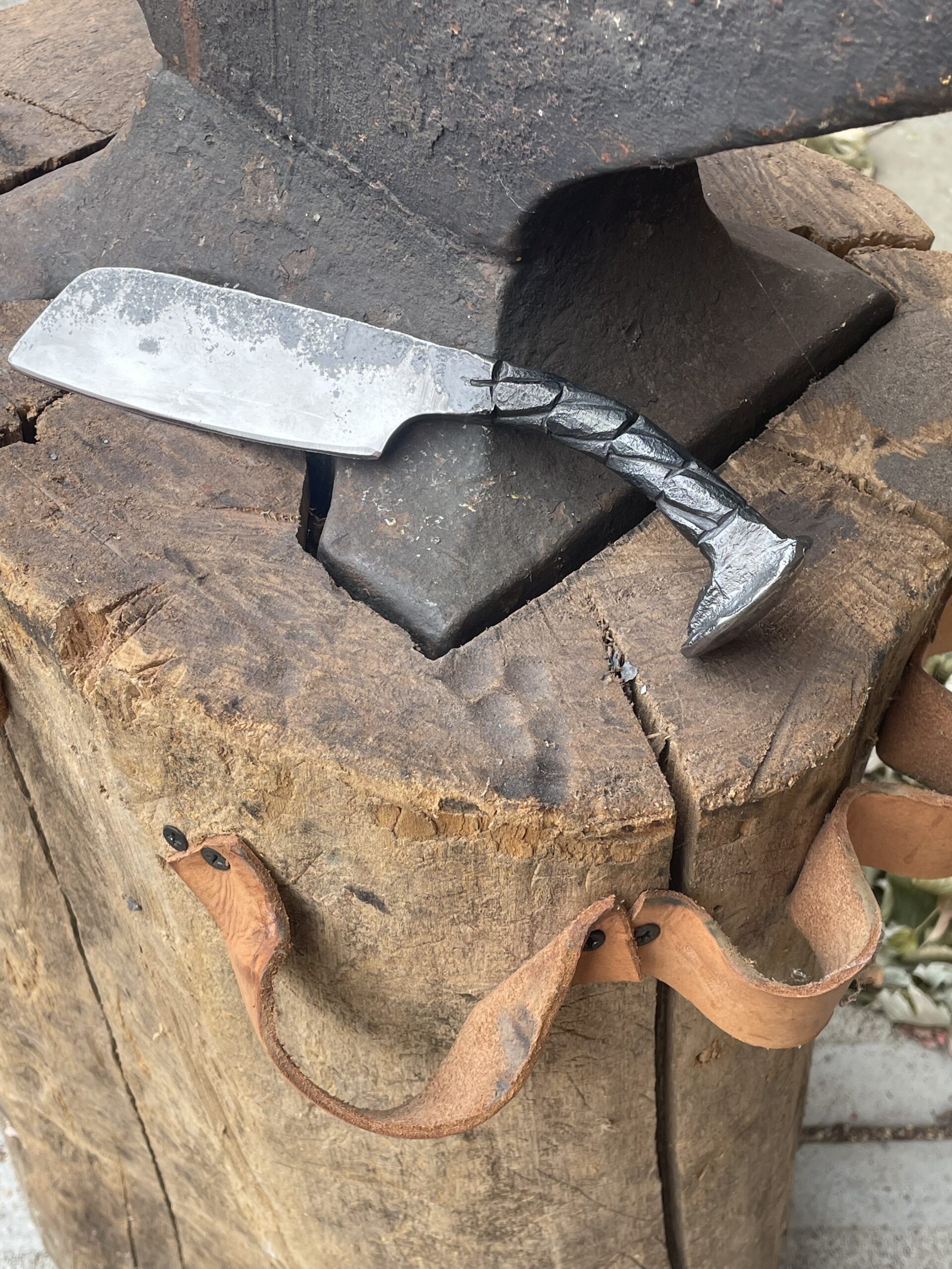 Crocodile Skin Knife